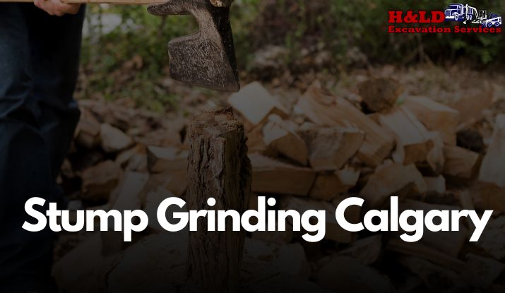 Stump Grinding Calgary Stump Grinding Calgary