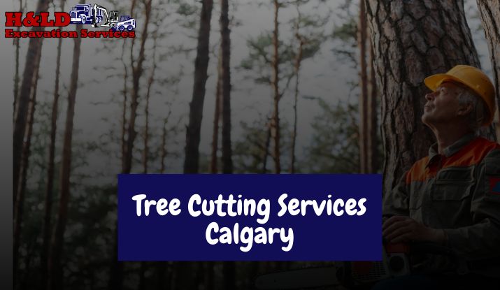 Tree Cutting Services Calgary Tree Cutting Services Calgary